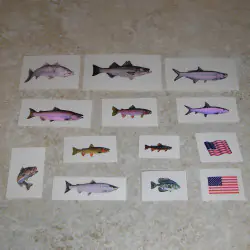 Pescado y calcomanías de la bandera