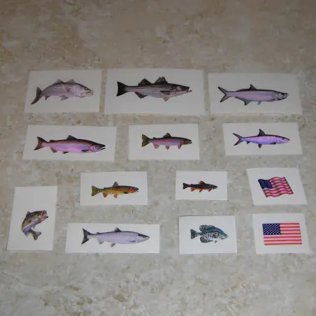 Pescado y calcomanías de la bandera