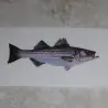 Fish and Flag Decals