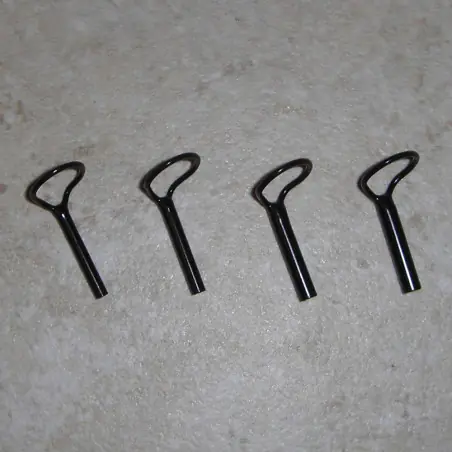 Prévision de noir Large boucle mouche Tip Tops