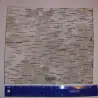Birkenrinde Blatt 10 "x 10"