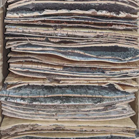 자작나무 껍질 시트 10 "x 10"