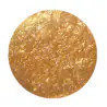 Metallico adesivo pigmenti, limitato tempo 5 X altro